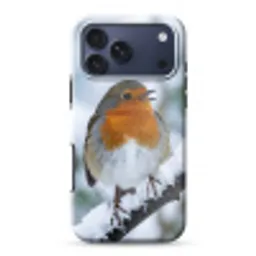 Roodborstje - Tak - Sneeuw - Winter - Levendig Toughcase MagSafe Apple iPhone 17 Pro Max klein -3d