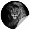 Leeuw - Ogen - Oranje - Zwart wit - Dieren - Portret Wandcirkel behangsticker klein -3d