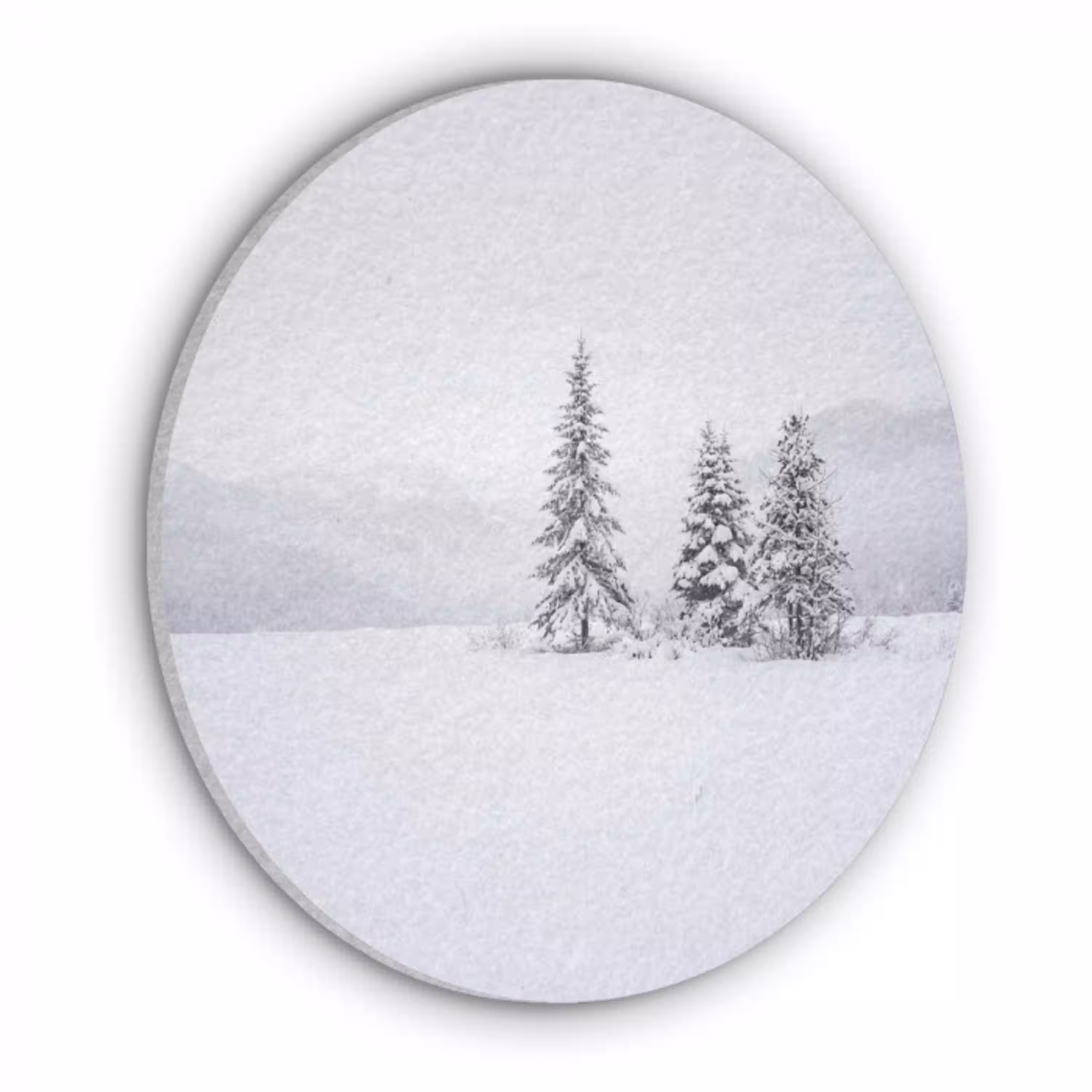 Fijnsparren - Sneeuw - Winter - Landschap - Stilte Akoestische PET Vilt - Rond klein -3d