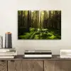 Bomen - Bos - Mos - Planten - Zon - Natuur aluminium wit klein -sfeer1
