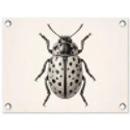 Kever - Insect - Vintage tuinposter los doek klein -3d