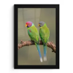 Papagaai - Tak - Natuur - Kleurrijk fotolijst zwart zonder passe partout klein -3d