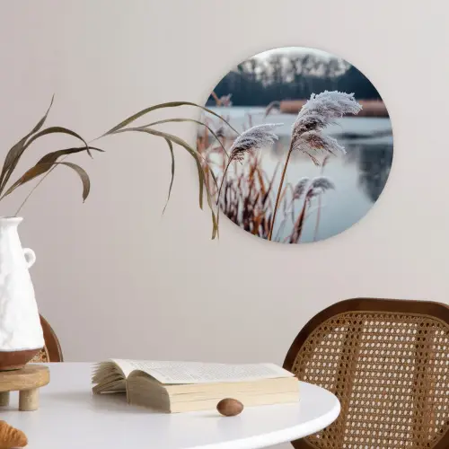 Riet - Gras - Natuur - Winter - Meer Wandcirkel kunststof plaat 5mm dik klein -sfeer4