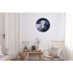 Koe - Delfts - Blauw - Artistiek Wandcirkel aluminium klein -woonkamer