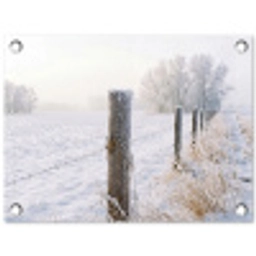 Hek - Sneeuw - Mist - Platteland - Nostalgisch tuinposter los doek klein -3d