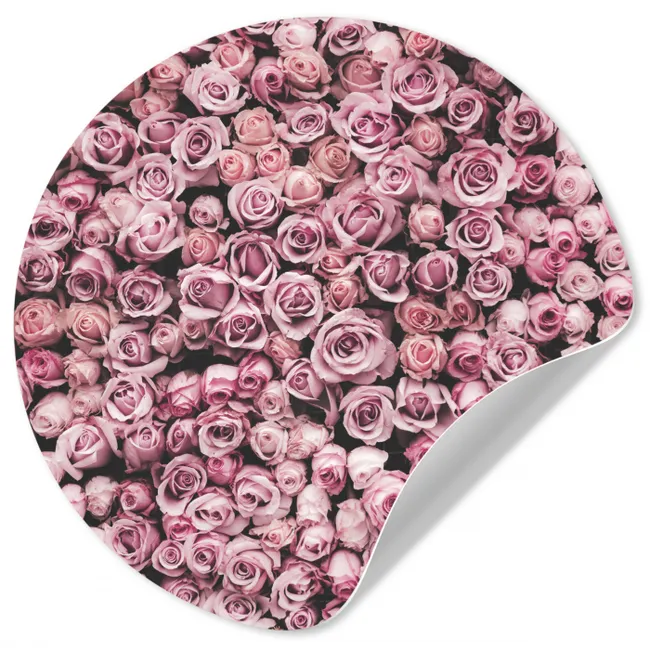 Bloemen - Rozen - Natuur - Roze - Botanisch Wandcirkel behangsticker klein -3d