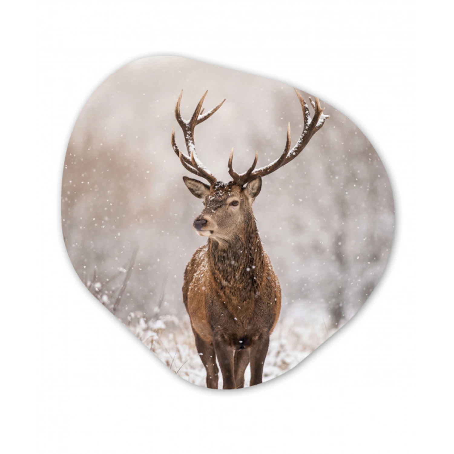 Edelhert - Bos - Sneeuw - Winter - Majestueus Wandcirkel Organisch Aluminium middel -3d