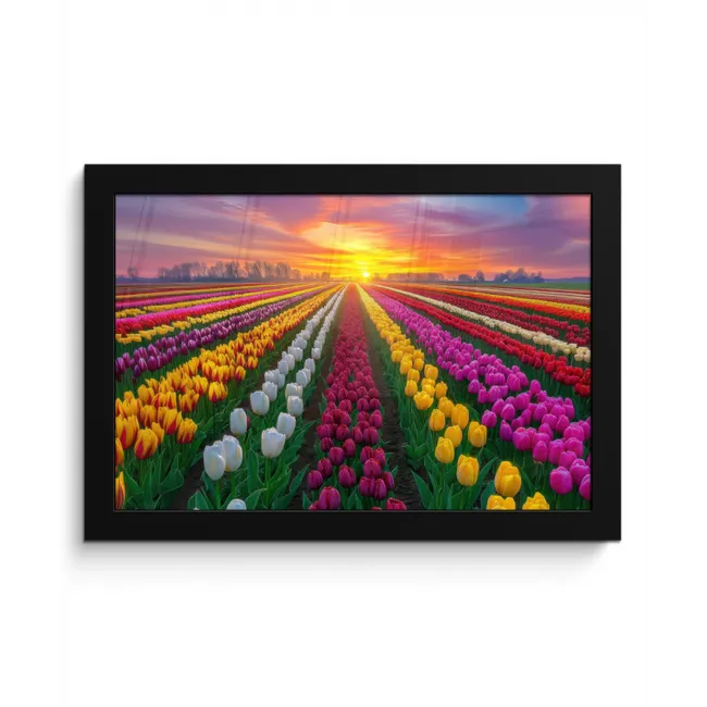 Tulpenveld - Zonsondergang - Kleurrijk fotolijst zwart zonder passe partout klein -3d