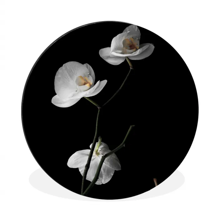 Orchidee - Bloemen - Zwart - Wit - Stilleven Wandcirkel aluminium klein -3d