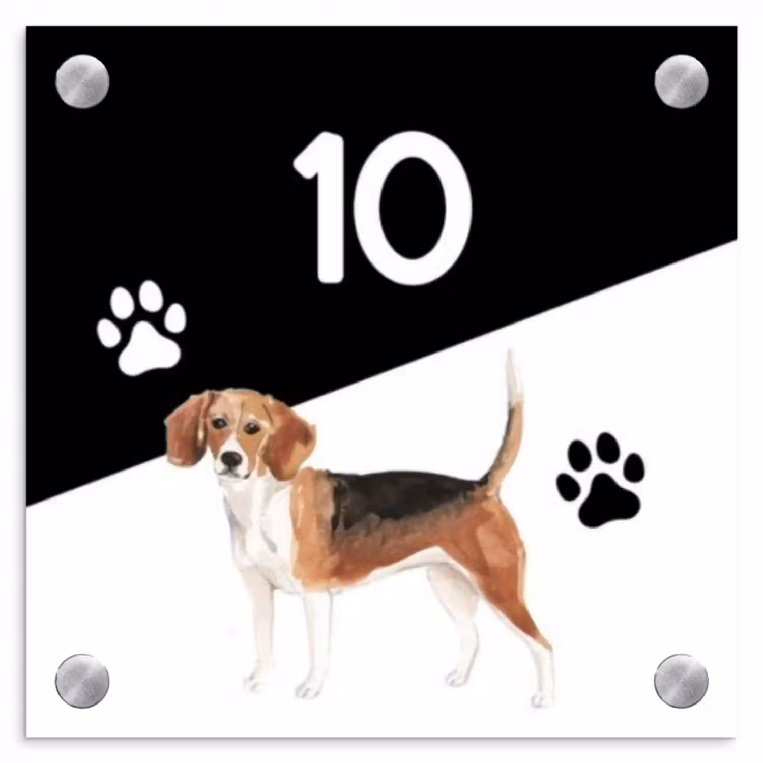 Namensschild Haustür Quadratisch - Schwarz und weiß - Haustier - Beagle
