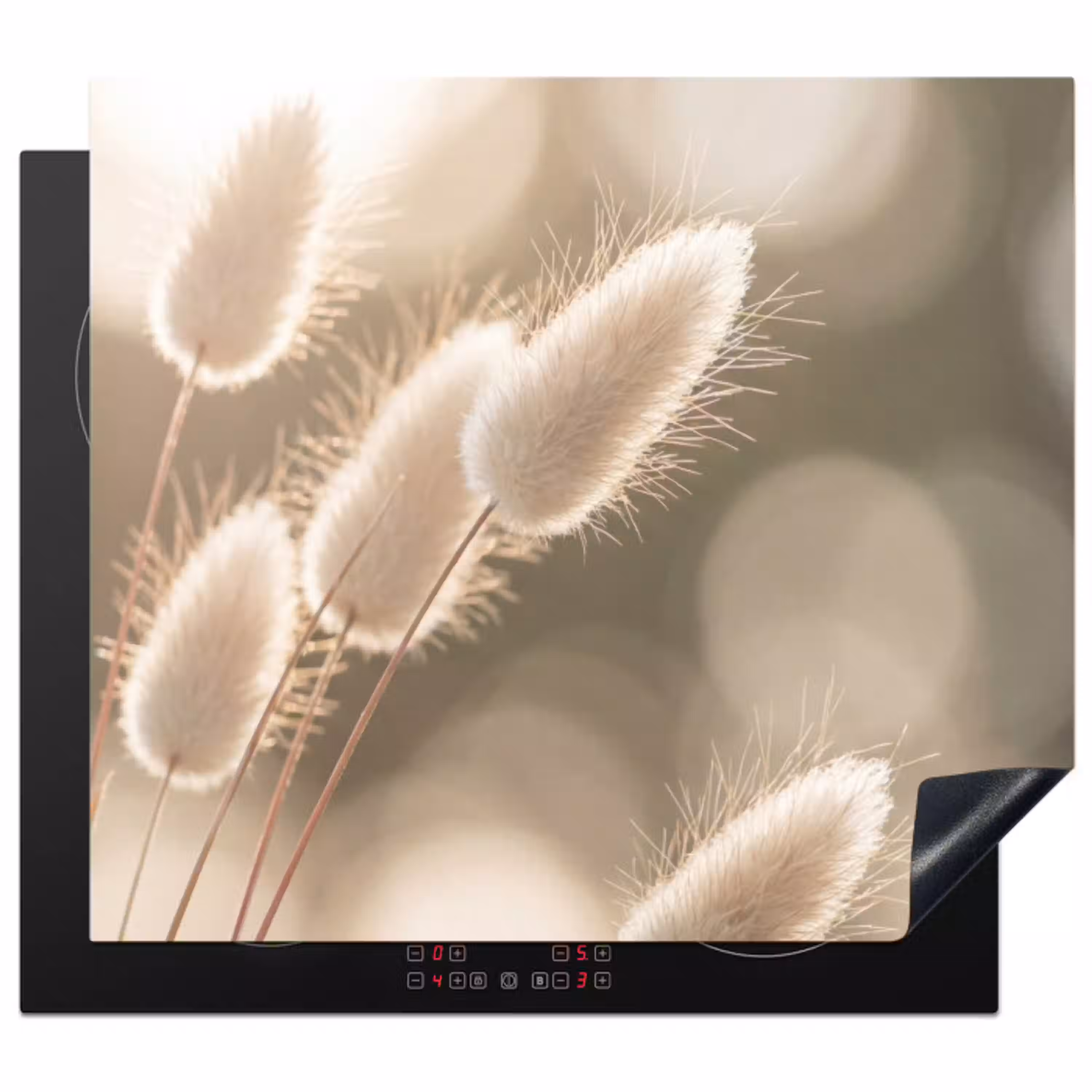 Hazestaartgras - Wit - Zonlicht Inductie beschermer vinyl 3mm middel -3d