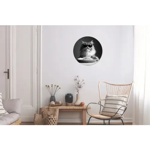 Langharige kat - Zonnebril - Spaghetti - Humor - Zwart - wit Wandcirkel aluminium klein -woonkamer