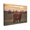 Schotse hooglander - Dieren - Landschap - Zonsondergang - Koe canvas 2cm klein -z3d