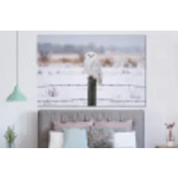 Sneeuwuil - Hek - Sneeuw - Wit forex 5mm xxl -slaapkamer