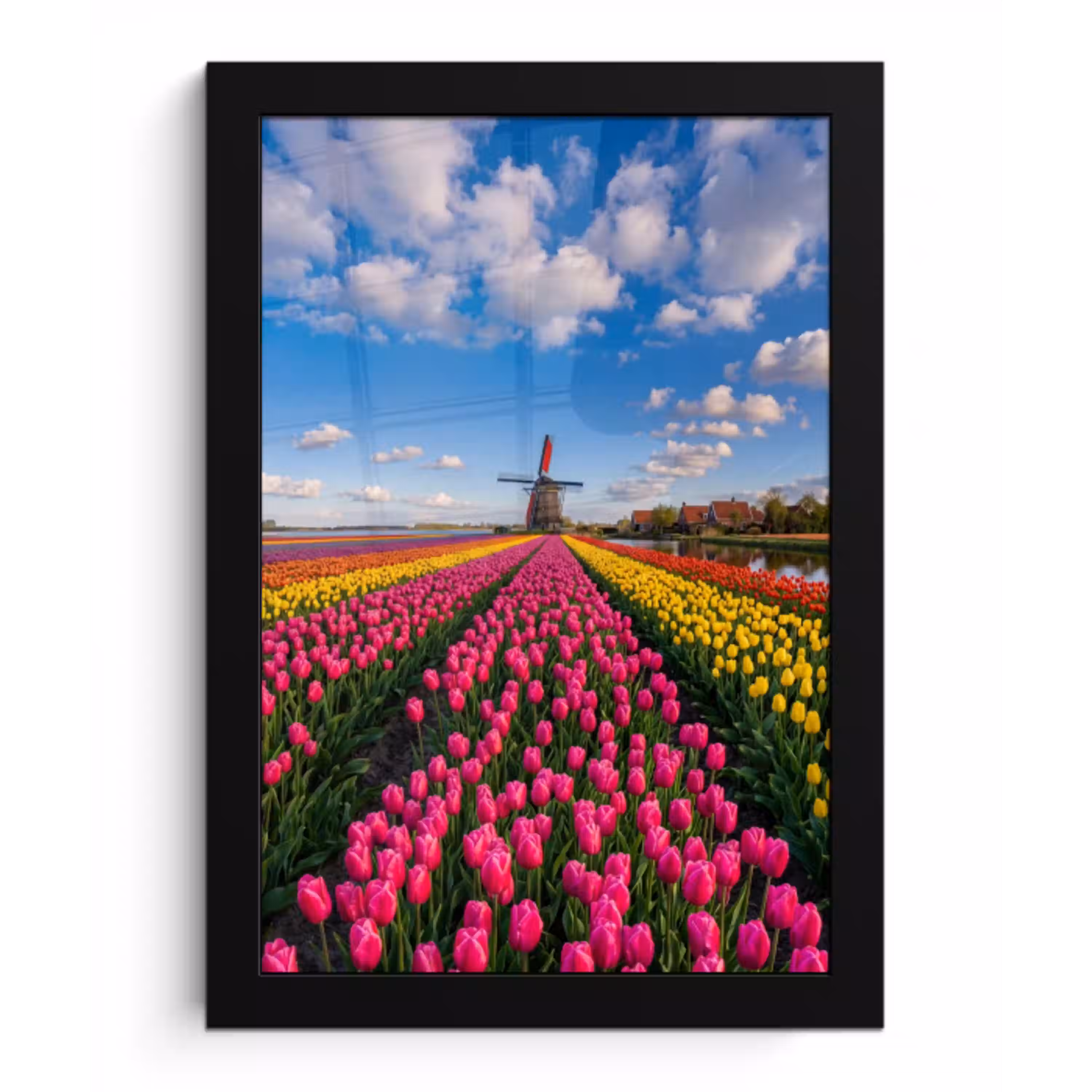 Tulpen - Holland - Molen - Kleurrijk fotolijst zwart zonder passe partout klein -3d