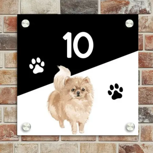 Zwart wit - Huisdier - Pomeranian Naambord Vierkant klein -sfeer2