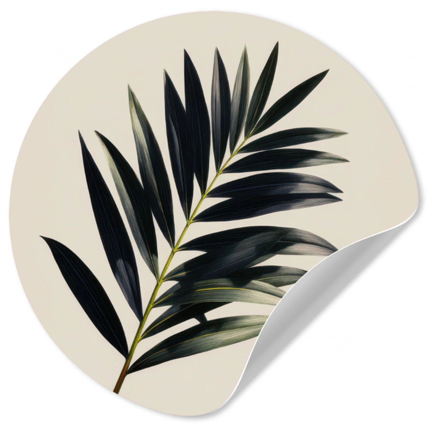 Palmblad - Subtiel - Groen - beige Wandcirkel behangsticker klein -3d