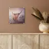 Schotse hooglanders - Licht - Lucht - Natuur plexiglas 5mm klein -sfeer5