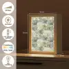 Bladeren - Botanisch - Groen Light Box met kabel (Tafellamp) klein 925 -USP_NL