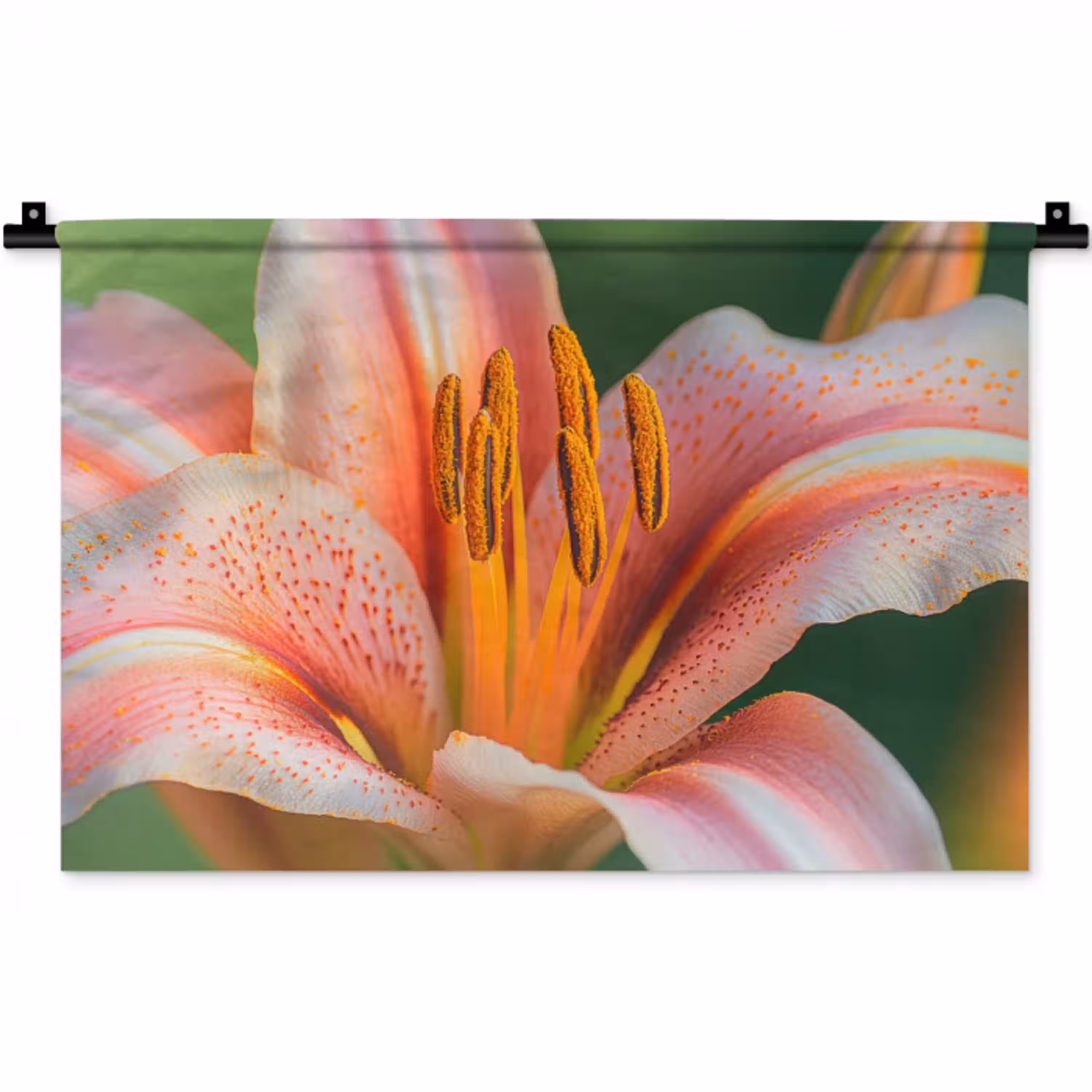 Lelie - Close up - Lichtroze Wandkleed katoen klein -zz3d