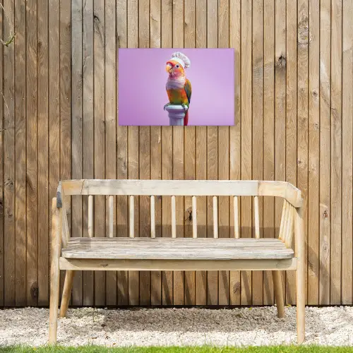Papegaai - Koksmuts - Pilaar - Vogel Tuinposter op houten frame 2 cm dik klein -sfeer4