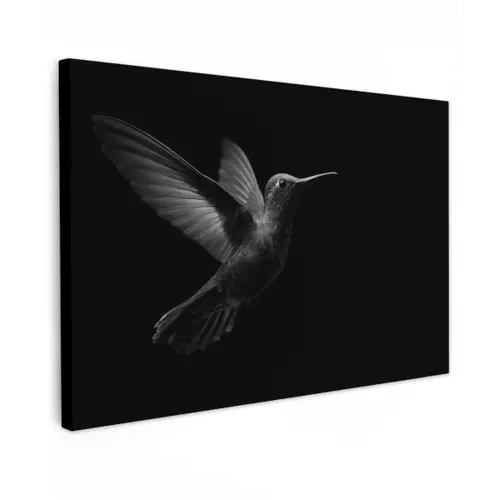 Kolibrie - Zwart - Dieren canvas 2cm klein -z3d