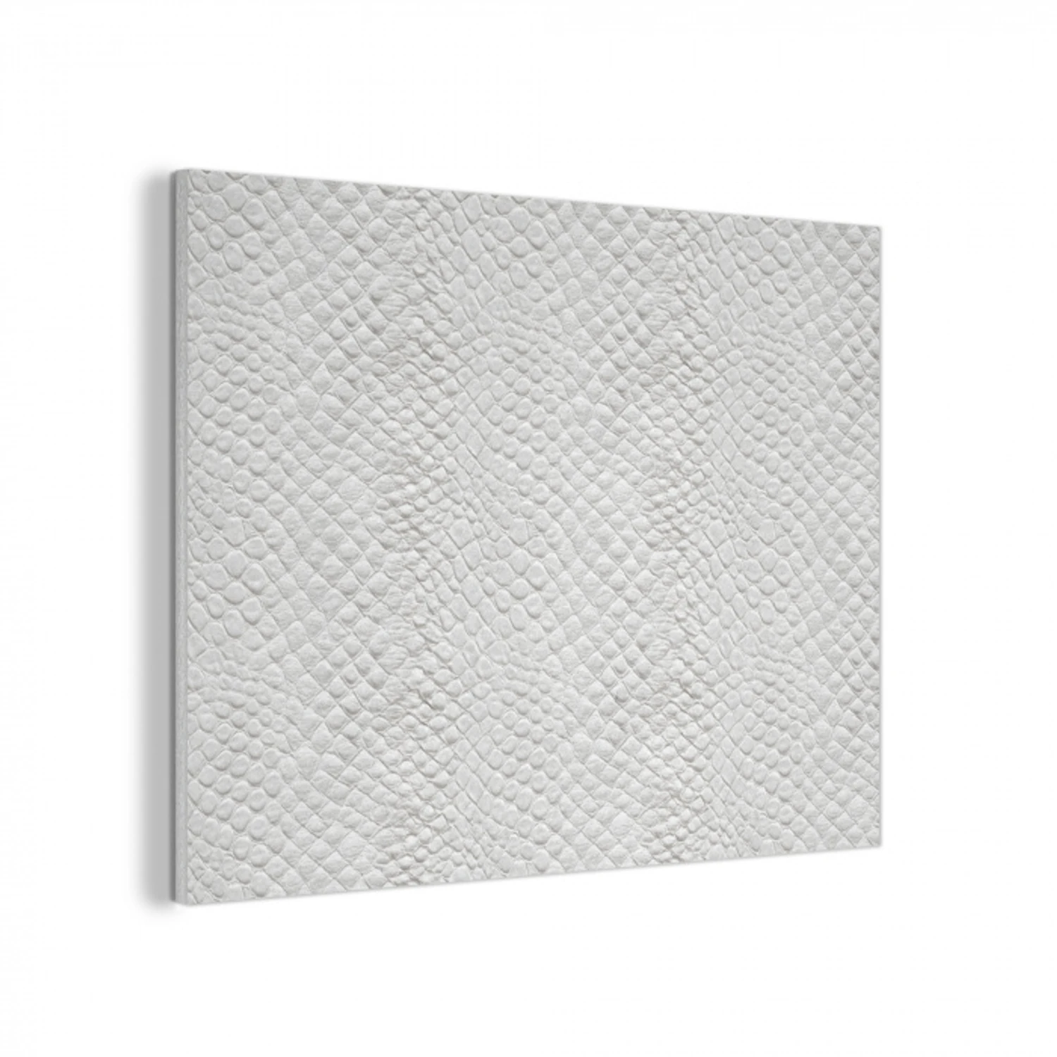 Slang - Patroon - Wit PET vilt klein 837 -3d