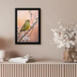 Groenling - Katjes - Lente - Natuur - Zacht fotolijst zwart zonder passe partout klein -sfeer5