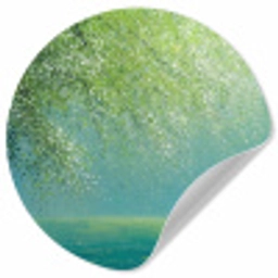 Bootje - Water - Bladeren - Bloesems Wandcirkel behangsticker klein -3d