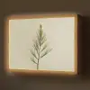 Dennentak - Naaldvormige bladeren - Lichtgroen Light Box met batterij (Wandlamp) middel -z3d_website