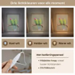 Papagaai - Tak - Natuur - Kleurrijk Light Box met kabel (Kinderlampje) klein -USP_lichtkleurNL
