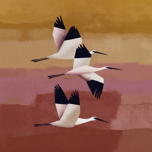Behang - Vogels - Snavel - Abstract
