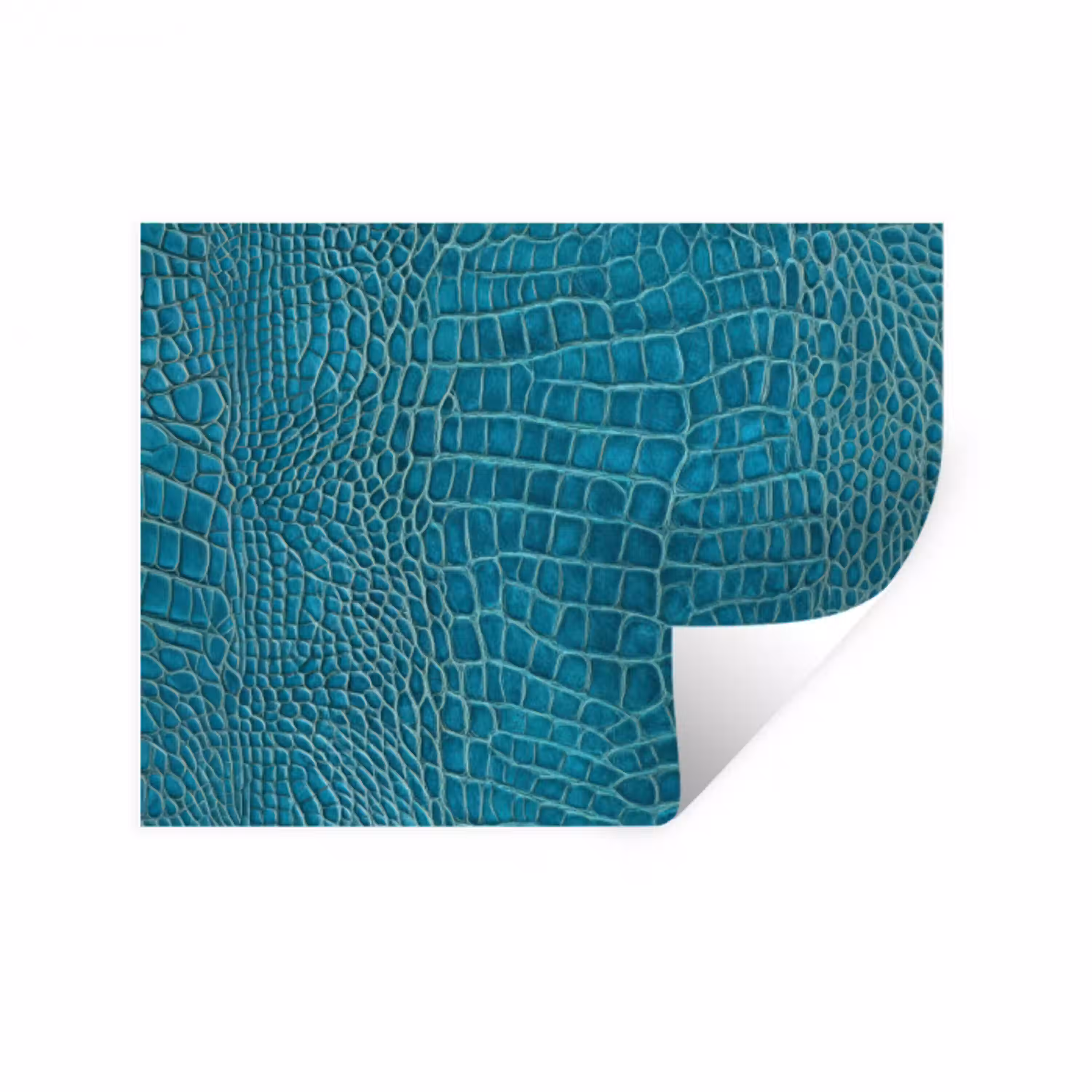 Krokodillenleertextuur - Blauw - Exotisch Muursticker middel -3d