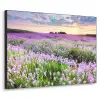 Bloemen - Lavendel - Paars - Lucht - Zonsondergang - Weide - Natuur Textielframe zwart klein -3d