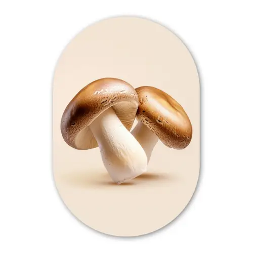 Champignons - Zacht - Beige Wandcirkel Ovaal Glas middel -3d