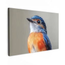 Kleurrijk - Vogeltje - Veren - Blauw Tuinposter op houten frame 2 cm dik klein -3d