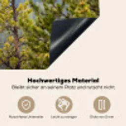 Uil - Oehoe - Bomen - Natuur Inductie beschemer met haakjes klein -ky-onderkant-de
