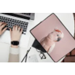 Kaketoe - Portret - Roze laptophoes neopreen klein -bureau