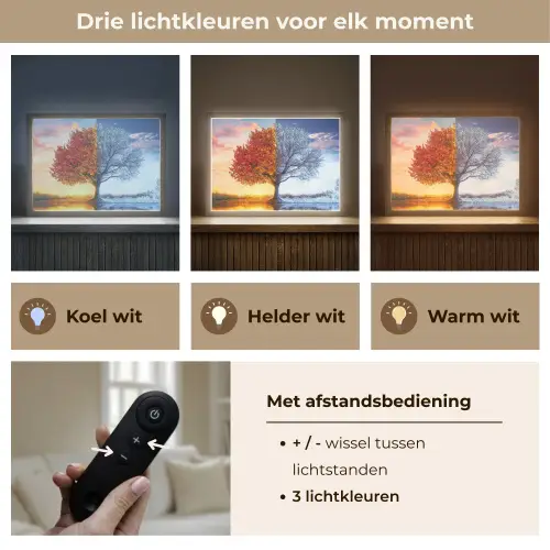 Seizoenen - Kunst - Boom - Herfst - Winter Light Box met batterij (Wandlamp) middel -USP_lichtkleurNL