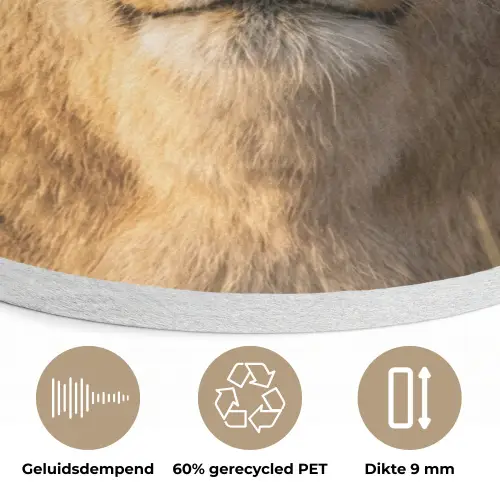 Leeuwin - Gras - Geel Akoestische PET Vilt - Rond klein -closeup_NL