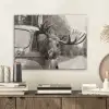 Eland - Auto - Gewei - Zwart - Wit PET vilt klein -sfeer1