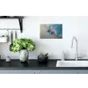 Zeesterren - Zand - Zee - Blauw Muursticker klein -keuken