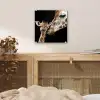 Giraffe - Dieren - Zwart - Portret - Dieren plexiglas 5mm klein -sfeer4