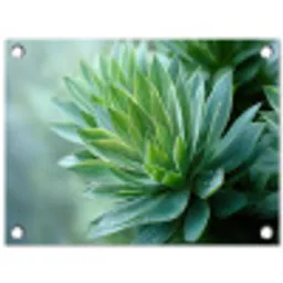 Blad - Plant - Groen - Textuur tuinposter los doek klein -3d