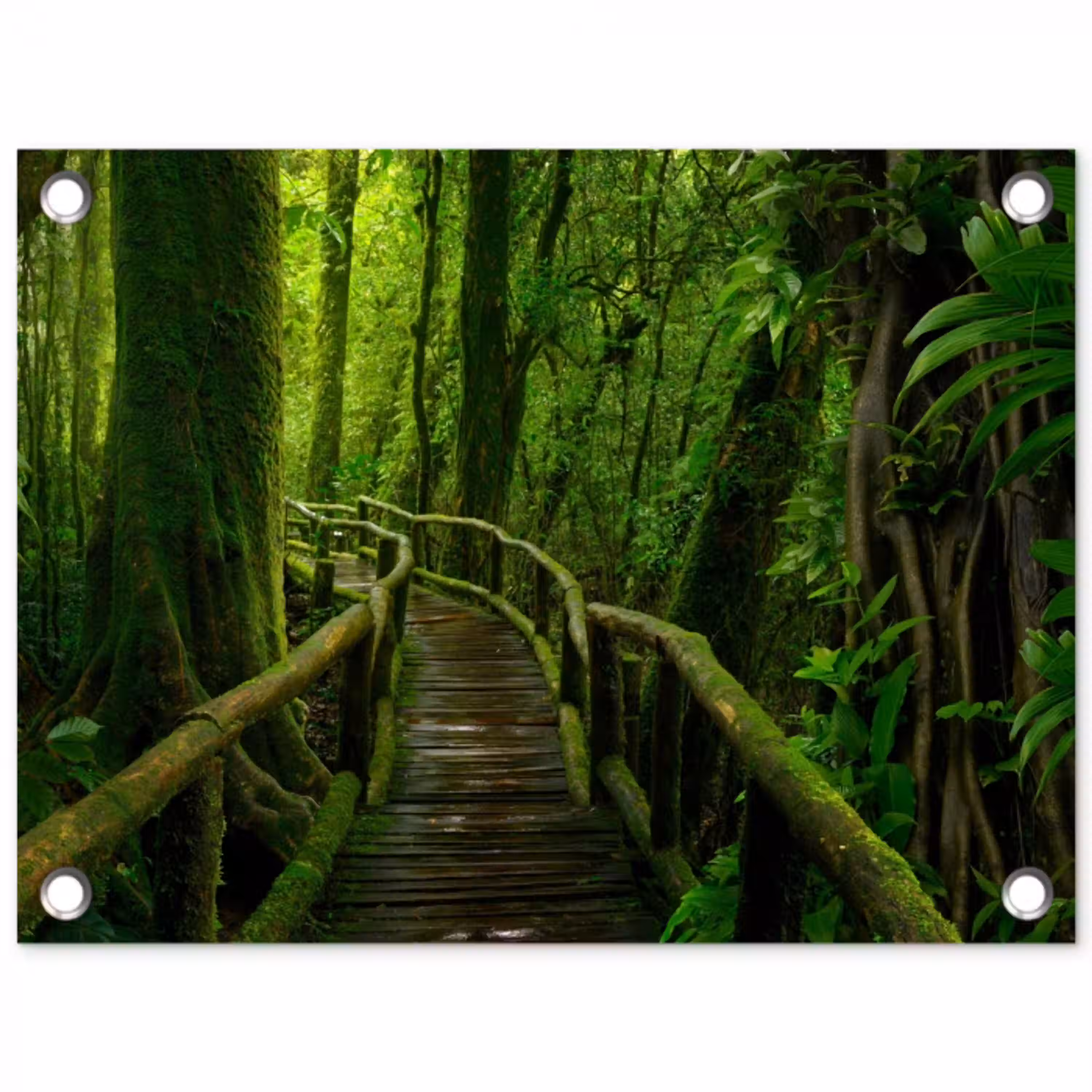 Jungle - Brug - Mos - Natuur - Tropisch tuinposter los doek klein -3d