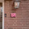 Roze tulpen - Klassiek Naambord Rechthoek middel -sfeer7-rechthoek-S