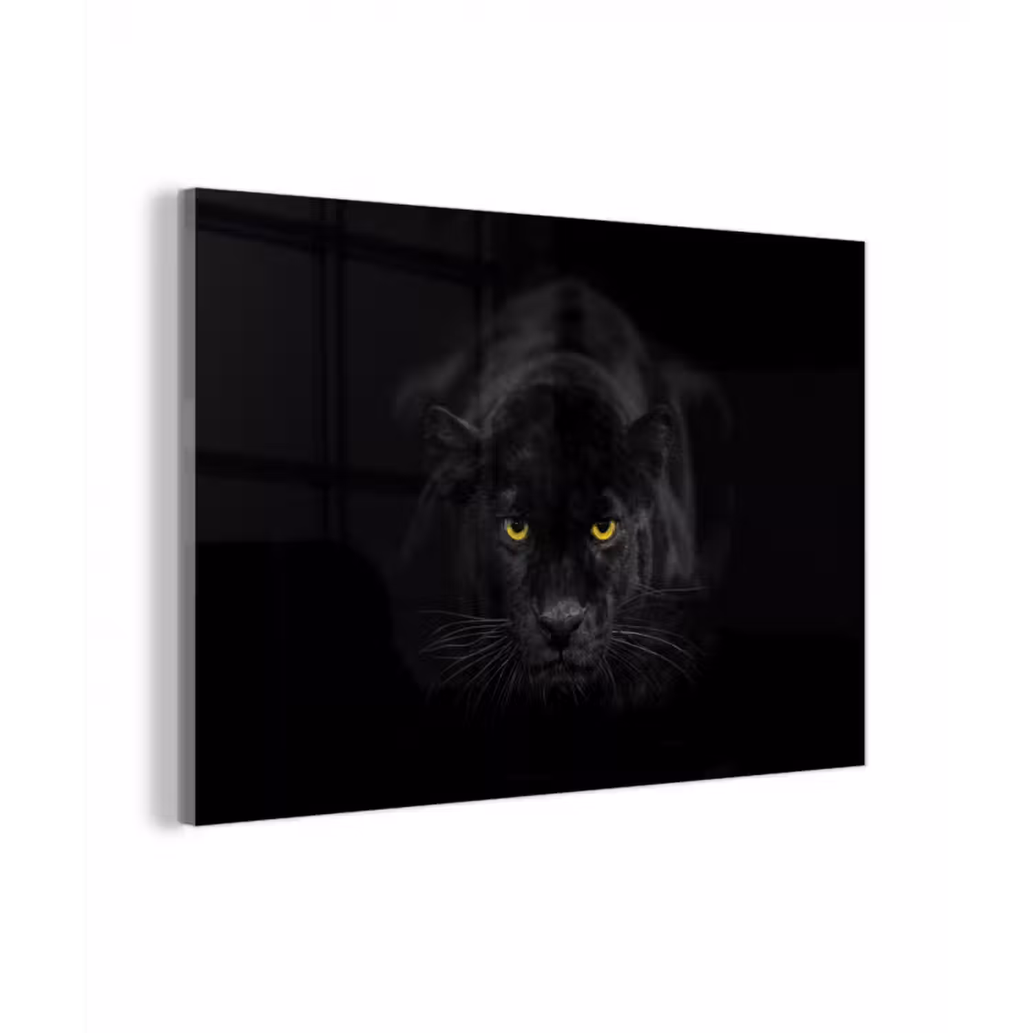 Glasbild - Panther - Tiere - Schwarz - Augen