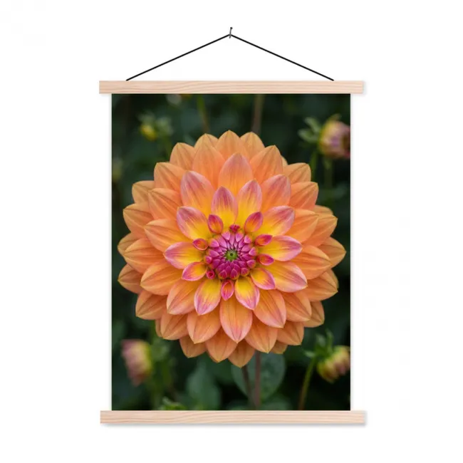Schoolplaat - Dahlia - Bloem - Oranje