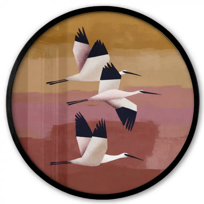 Vogels - Snavel - Abstract Fotolijst rond zonder passe partout klein -3d
