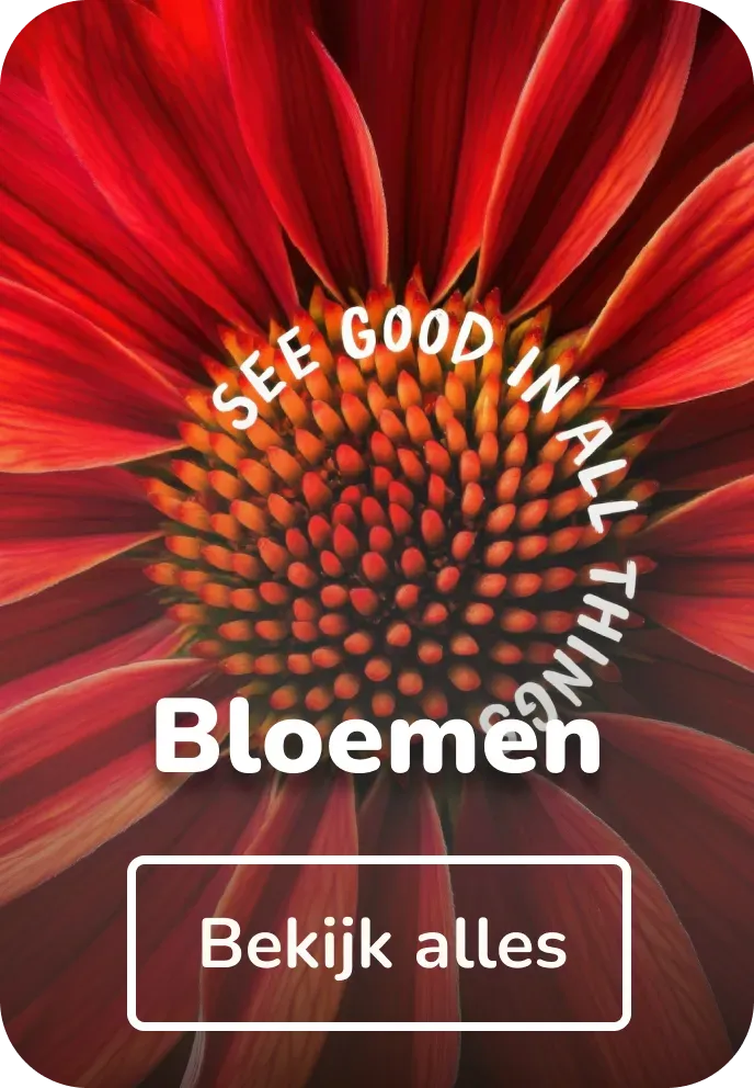 Vilt schilderijen bloemen